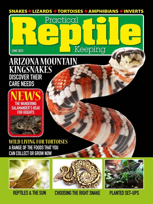 Title details for Practical Reptile Keeping by David Alderton - Available